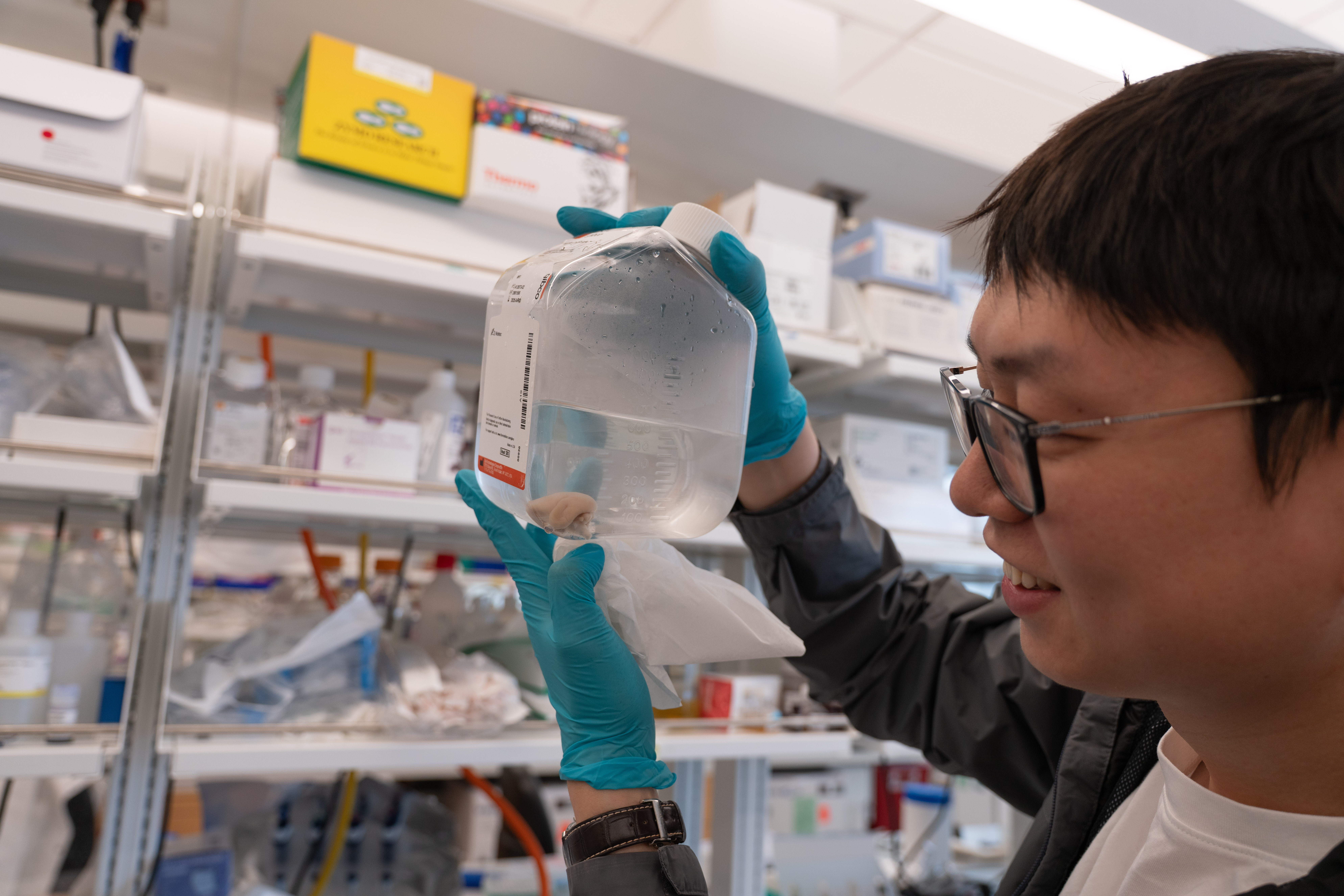 Zhou Lab gallery image 1